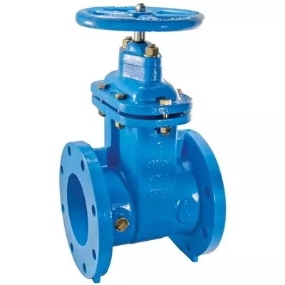 0700105 (Watts) | 4 Inch | Resilient Wedge NRS Gate Valve