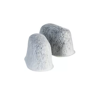 BRAUN Charcoal Water Filters (2 Pack) - BRSC004-2