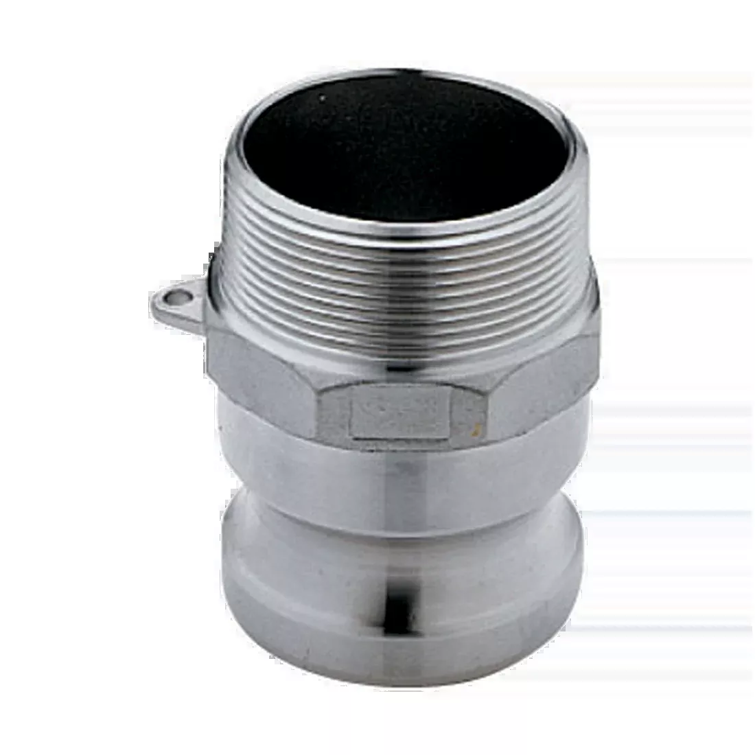 CA4800000 (Banjo) Adapter-3/4 M X Mpt Ss