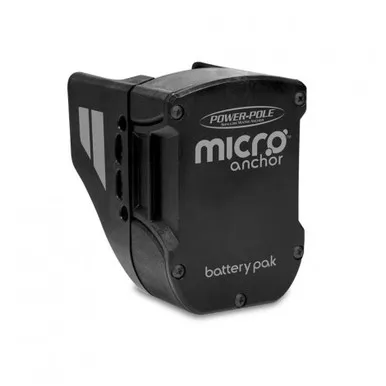 Micro Battery Pak & Charger